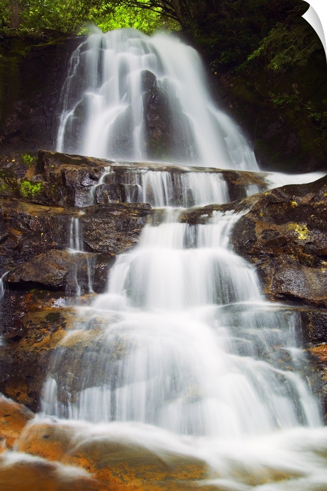 Vertical photograph on a large canvas of Laurel Creek Falls spilling over a rocky hillside in the Great Smoky Mountains Na...