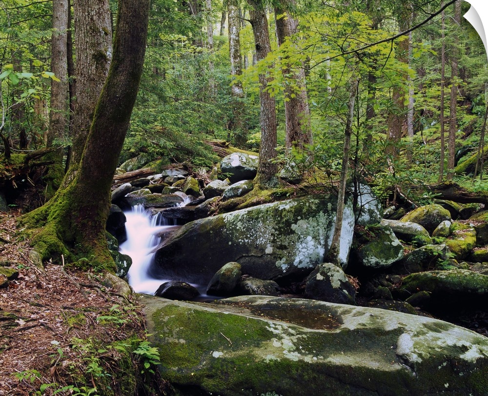 Picture taken of a waterfall surrounded by large and small rocks in a thick green forest.
