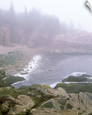 Maine, Acadia National Park, Atlantic Coast, Beach covered with fog