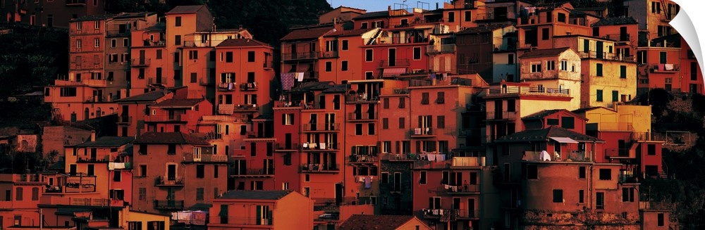 Manarola Liguria Italy