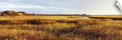 Marsh at sunset, St. Augustine Beach, St. Johns County, Florida
