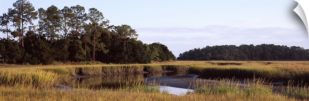 Marsh land, Little Talbot Island State Park, Little Talbot Island, Florida, USA