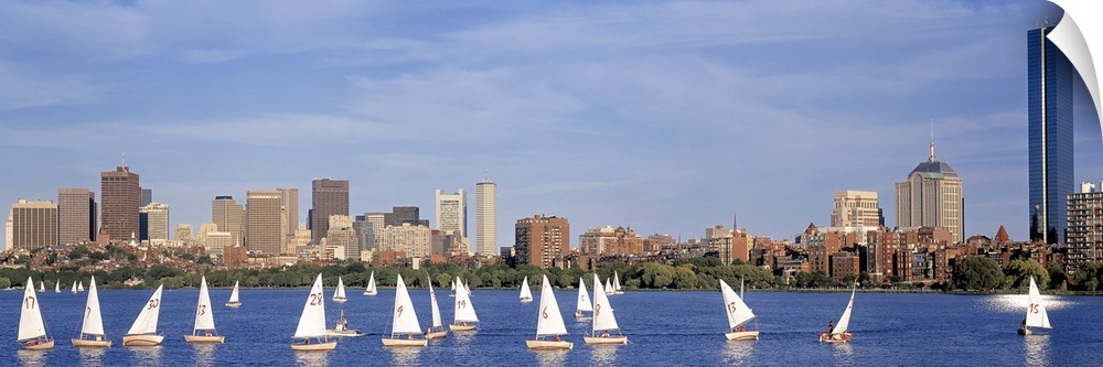 Giant landscape photograph of many sailboats in the Charles River, the Boston skyline in the background.