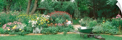 Mature man working in a garden, Hinsdale, Illinois