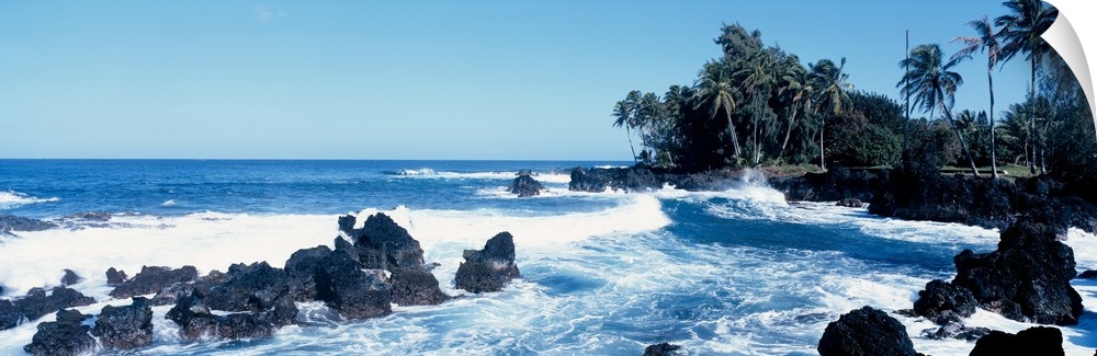 Panoramic photograph of rocky oceanfront with palm trees and waves crashing in.