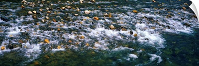 Merced River Flowing over Rocks CA