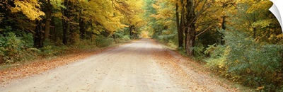 Michigan, Leland, Road passes through a forest