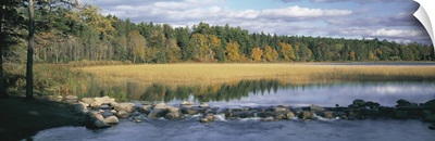 Minnesota, Itasca State Park, View of trees around a lake