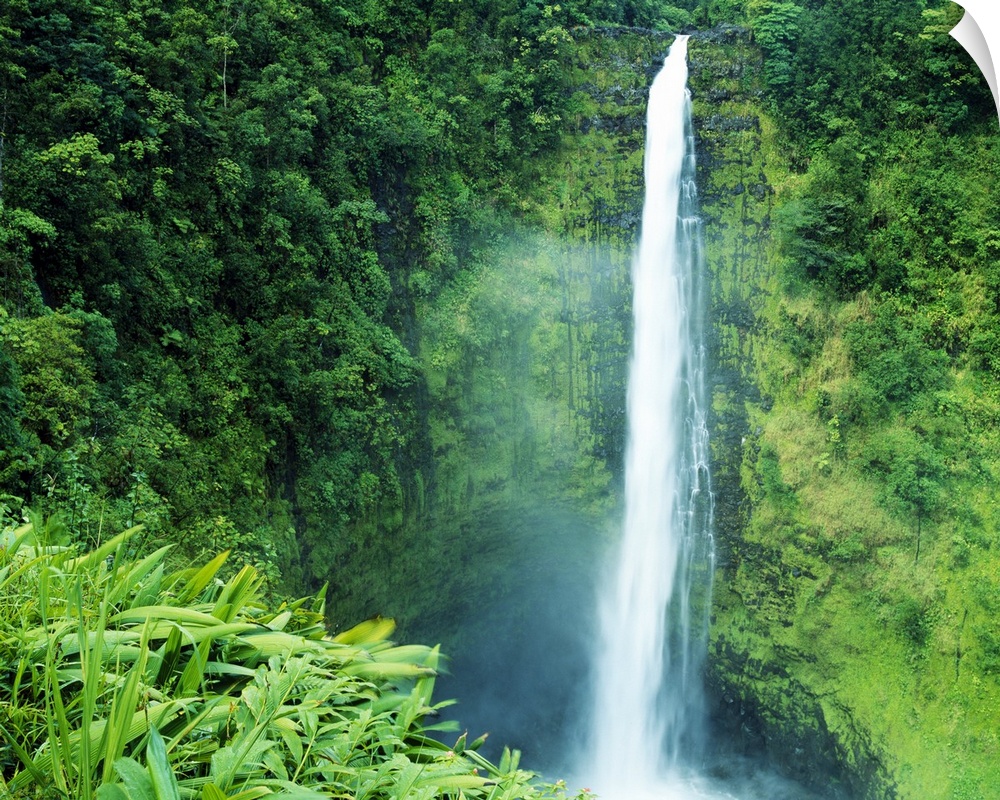 Misty Akaka Falls, Akaka Falls State Park, Big Island of Hawaii, Hawaii