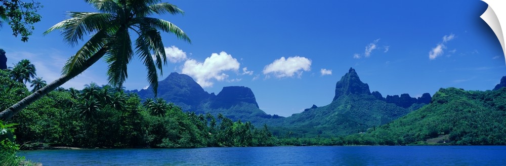 Panoramic photograph of forest and mountain covered landform surrounded by ocean.