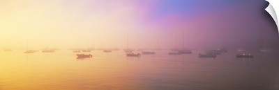 Morning Fog Chatham Harbor Cape Cod MA