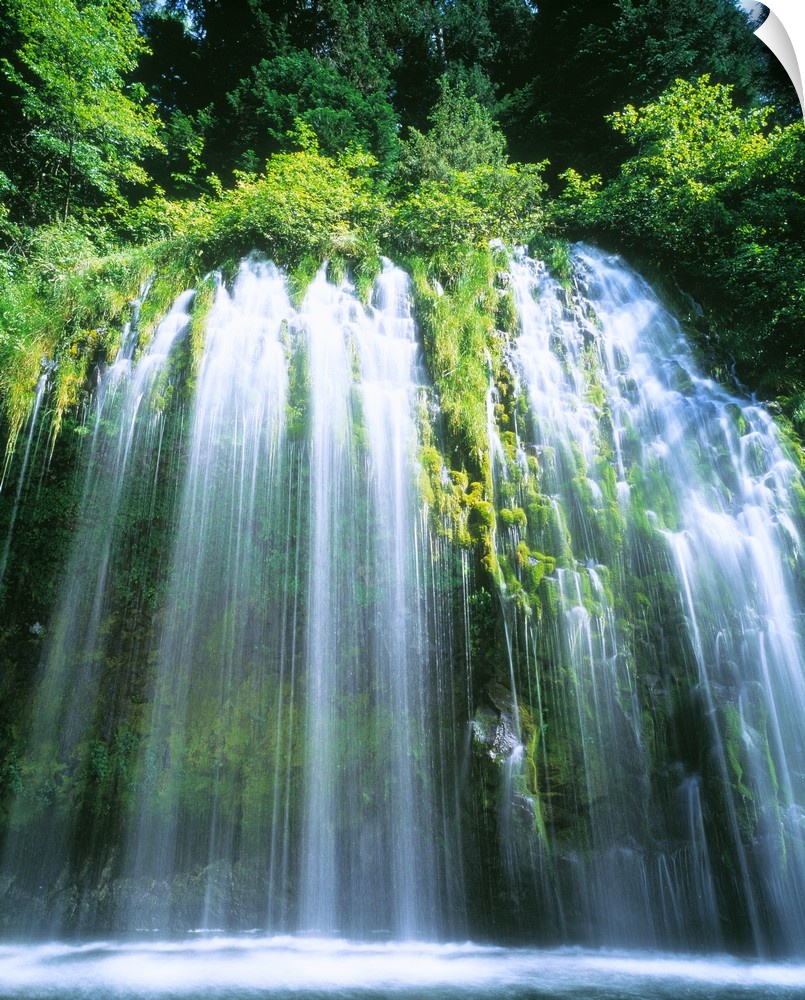 A waterfall cascades of a rock face overgrown with plant life in this vertical, landscape photograph.