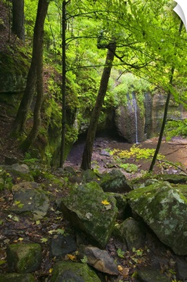 Mossy boulders and lush foliage beside Stephens Falls, Governor Dodge State Park, Wisconsin