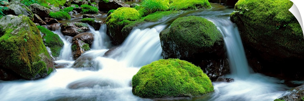 Panoramic photograph showcases water as it rushes down the small drop-offs of a river littered with moss-covered rocks.
