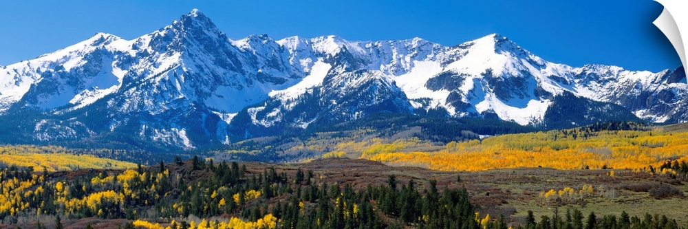 Panoramic image of a wilderness area at the base of a snowy mountain range.