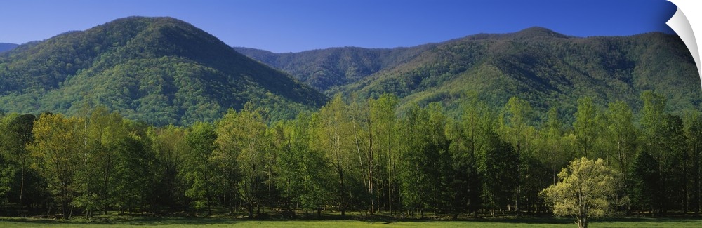Mountains in a national park, Great Smoky Mountains National Park, Tennessee