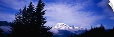 Mt Rainier WA
