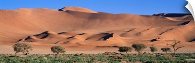 Namib Desert National Park Namibia Africa