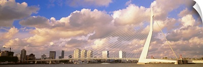 Netherlands, Holland, Rotterdam, Erasmus Bridge