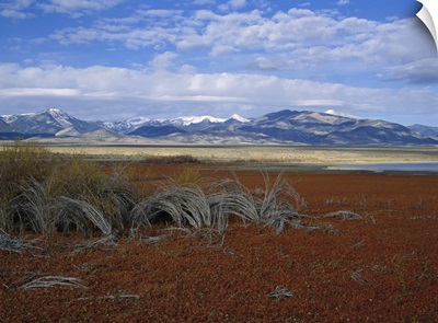Nevada, Great Basin National Park