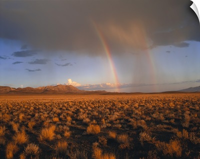Nevada, Nevada Desert, Rainbows over the desert