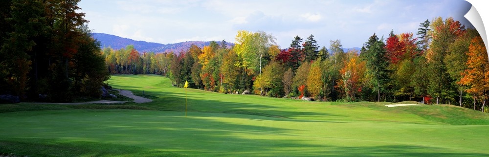 Panoramic photograph of large trees casting shadows on the green of a golf course in New England, a line of fall colored t...