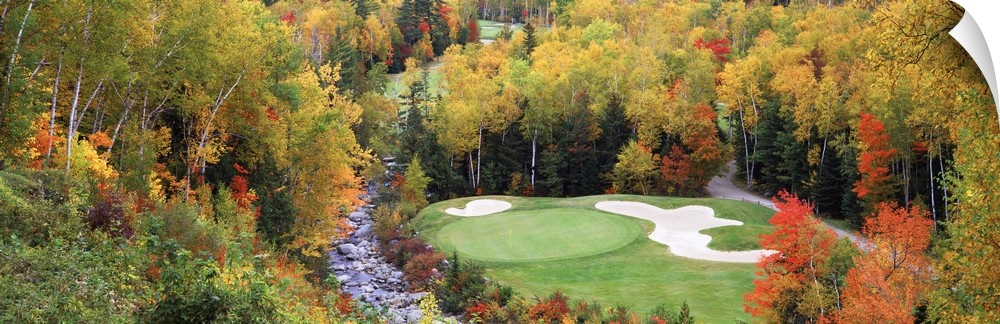 View over the forest canopy of a golf course and sand traps in a clearing surrounded by trees in fall colors.
