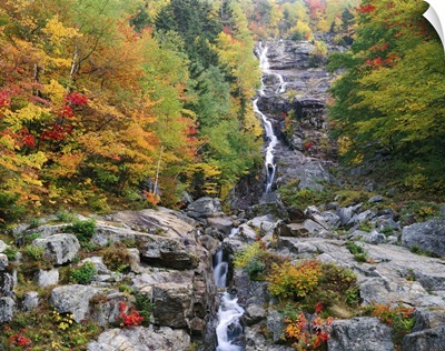 New Hampshire, White Mountains National Forest