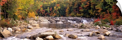 New Hampshire, White Mountains National Forest, River flowing through the wilderness