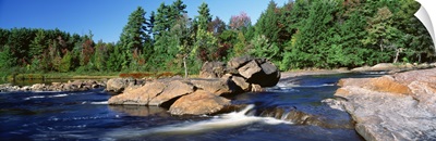 New York, Adirondack State Park, Moose River, River flowing through the forest