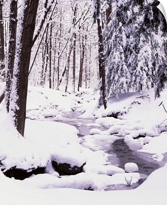 New York State, Erie County, Emery Park, Stream flowing through snow covered forest
