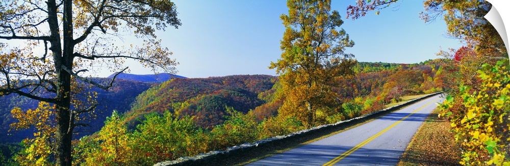 Panorama of the Blue Ridge Parkway, Blue Ridge Mountains and fall leaves of North Carolina.