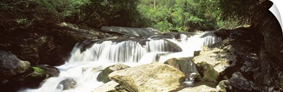 North Carolina, Highlands, Nantahala National Forest, Chattooga River, River flowing through the forest