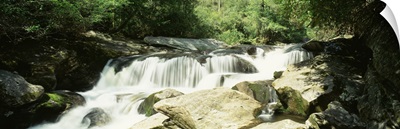 North Carolina, Nantahala National Forest, River flowing through the forest