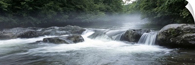 North Carolina, Tennessee, Great Smoky Mountains National Park, Little Pigeon River, River flowing through a forest