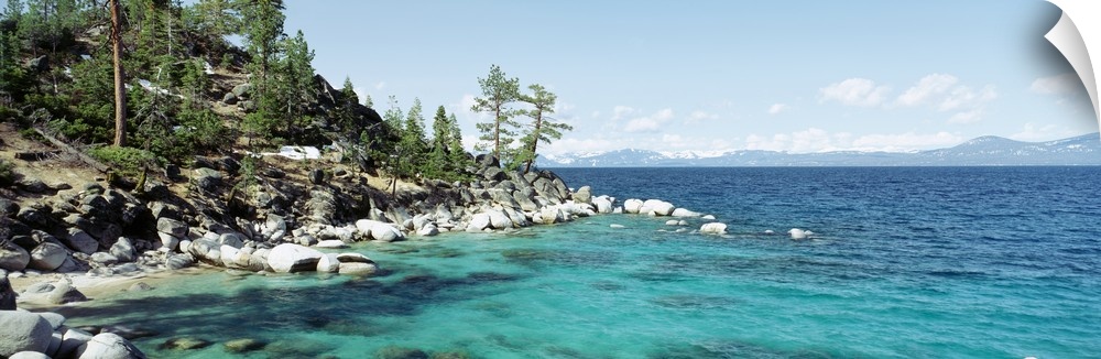 Panoramic photograph on a large wall hanging of the rocky North Shore of Lake Tahoe, the hillside covered in trees, surrou...
