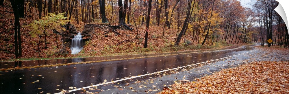 Panoramic image of a wet, leaf littered road with fall colored trees and a small waterfall at the end of a creek.