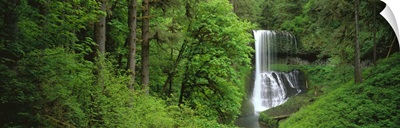 Oregon, Silver Falls State Park