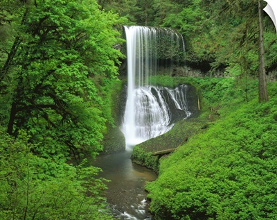 Oregon, Silver Falls State Park, Waterfall in the tropical rainforest