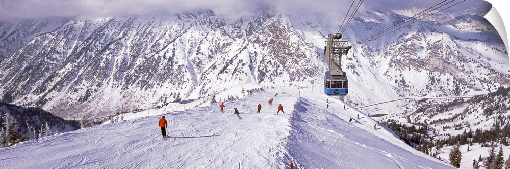 Overhead cable car in a ski resort, Snowbird Ski Resort, Utah, USA