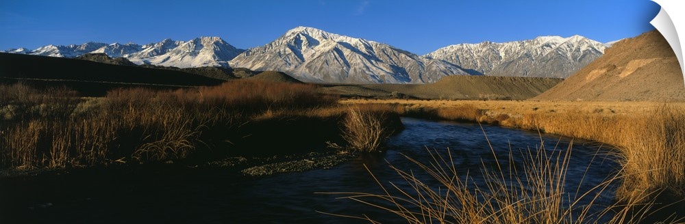 A mountain range lines the background of this panoramic photograph with a river in the foreground surrounded by tall brush.