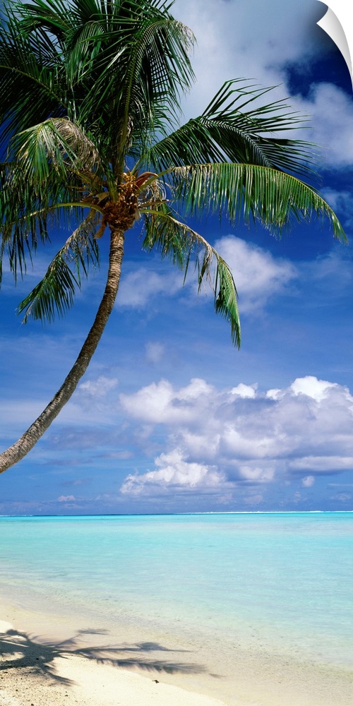 This vertical photograph of a tropical beach is dominated by a palm tree while clouds gather on the horizon.