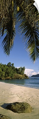 Palm trees and rocks on a small secluded beach on North Island, Seychelles
