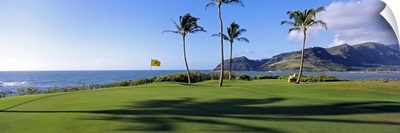Palm trees on a golf course at the seaside, Kiele Course, Number 13, Kauai Lagoons Golf Club, Lihue, Hawaii