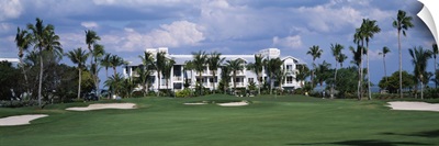 Palm trees on a golf course, South Seas Plantation, Captiva Island, Florida