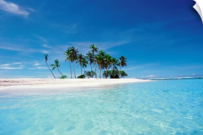 Palm trees on beach II