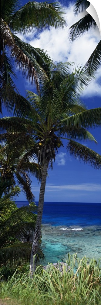 Vertical panoramic photograph taken of a palm tree with a view of inviting water just below.