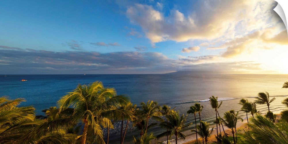 Palm trees on the beach at dusk, Kaanapali, Maui, Hawaii, USA.