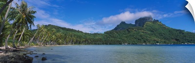 Palm trees on the beach, Bora Bora, French Polynesia