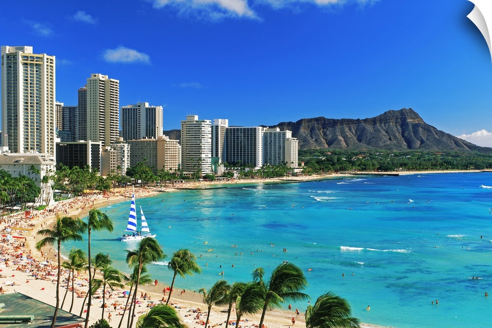 Palm trees on the beach, Diamond Head, Waikiki Beach, Oahu, Honolulu, Hawaii, USA